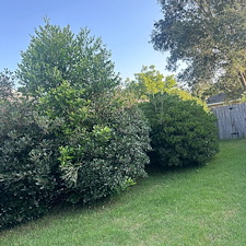 Revitalize-Your-Landscape-with-Professional-Bush-Trimming-Niceville-FL 3